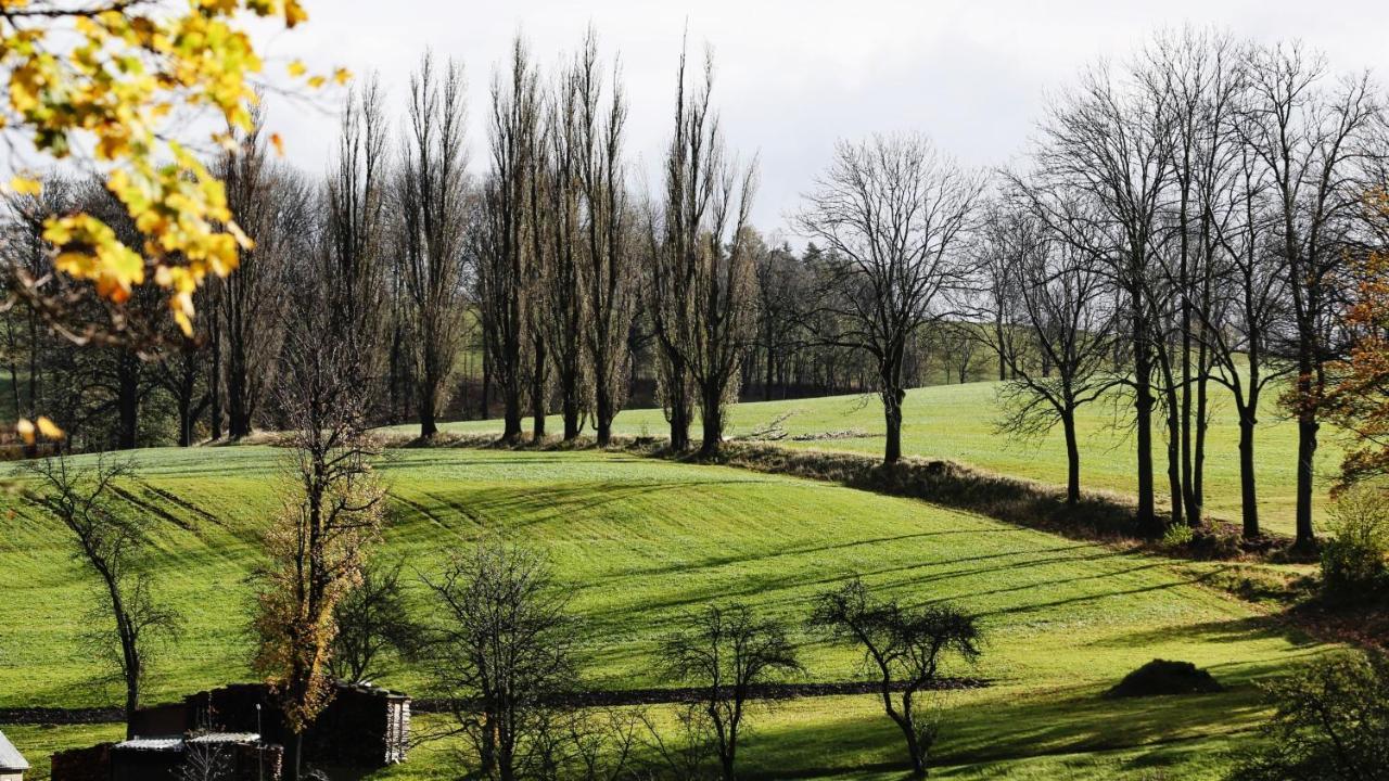 Ferienhaus Drebach Villa Eksteriør billede