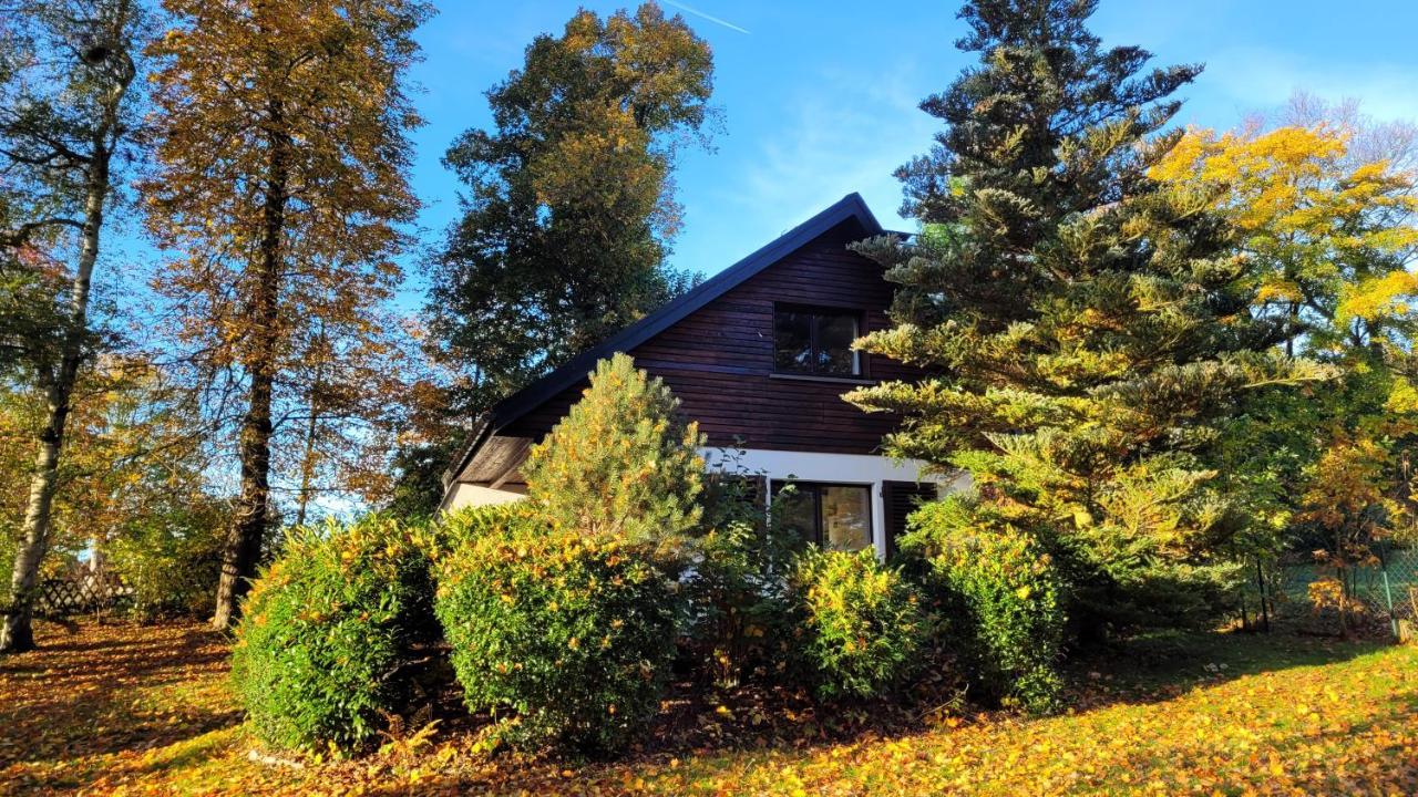 Ferienhaus Drebach Villa Eksteriør billede